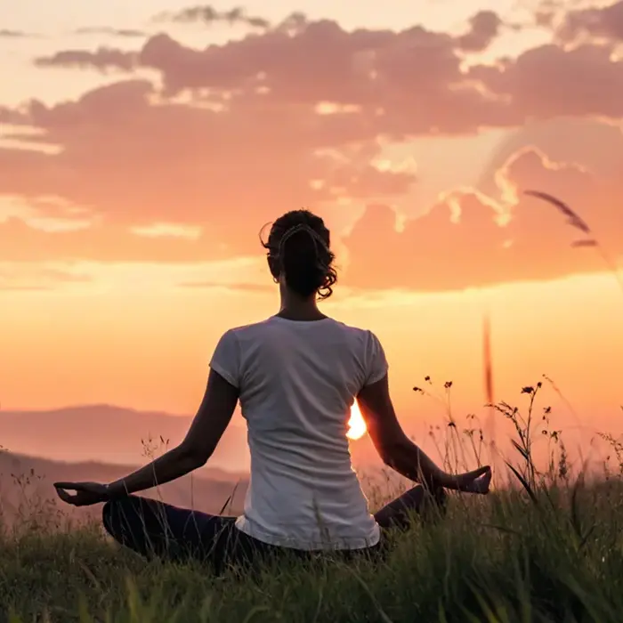 Solutionsincorporated